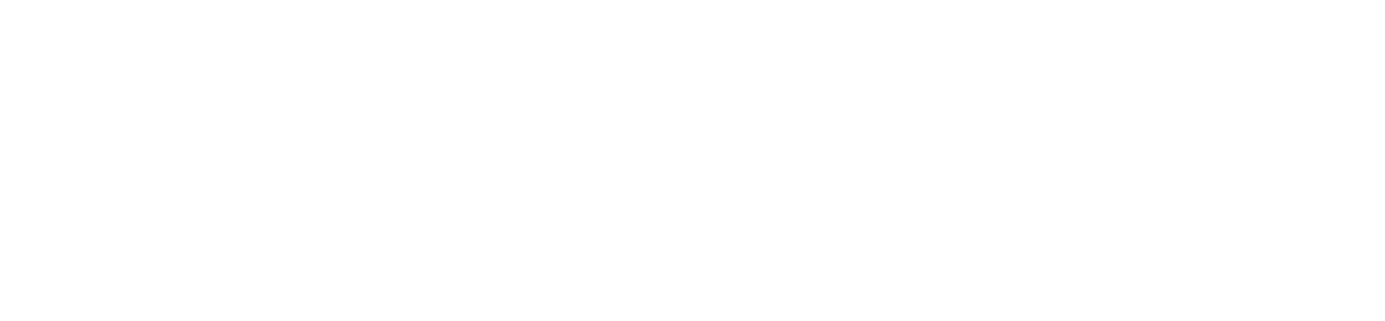 Logo mastersolution TMS